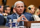 Fauci in the hot seat as GOP senator tears into 'truly sick' vaccine texts: 'Tip of the iceberg'