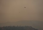 Watch live: BC Wildfire, RCMP, Summerland officials hold media briefing