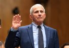 Fauci said ‘no red flags’ for pregnant women days after raising theoretical vaccine miscarriage risk: text