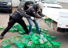 Police seize cocaine bricks with stickers of Norwegian soccer star Erling Haaland all over them
