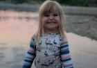 Bear shot, killed after girl attacked in Maple Ridge was the right one, officials say