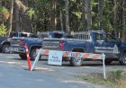 Vancouver Island park closed following black bear attack