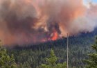 B.C. offering free N95 masks for B.C. Interior as wildfire smoke persists
