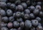 ‘No indication’ U.S. blueberry recall for death risk impacts Canada: CFIA
