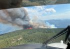 Wildfire north of Castlegar grows to 250 hectares