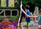 Gender equity, DEI, climate action: How the Smithsonian’s woke push ‘infiltrated’ America's most beloved Zoo