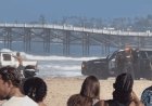 Suspected DUI driver leads cops on wild chase before dramatic takedown on popular California beach