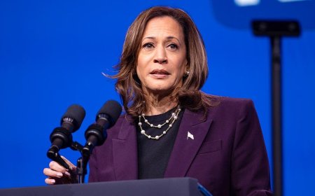 Kamala Harris backs major changes to the Supreme Court, Electoral College ahead of possible 2028 campaign