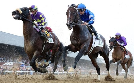 Saturday at the Spa: Saratoga Race Course picks for Jim Dandy Day and two other graded stakes races