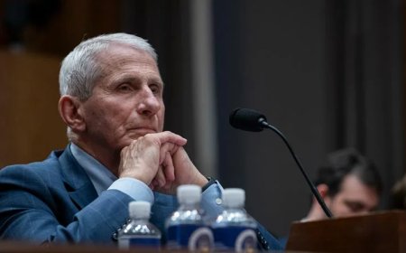 Chaos Agent: Anthony Fauci Represents A System That Needs To Be Cleansed