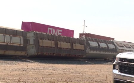Train derailment in Regina rail yard under investigation