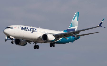 WestJet flight attendants on strike as company suspends most bookings