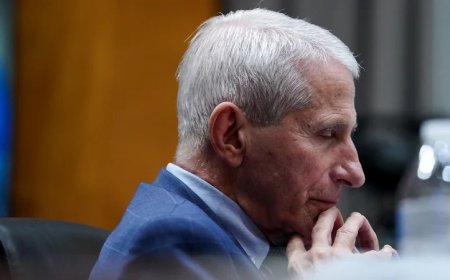 Report: Legacy Media Buried Fauci Diary Revelations