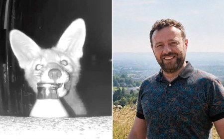 Homeowner blames 'militant vegan' for missing milk before camera reveals real thief