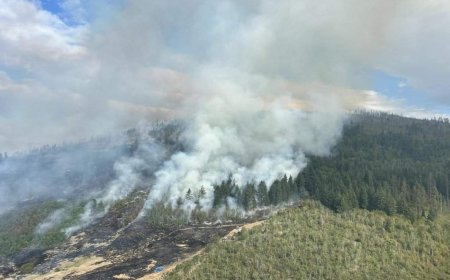 B.C. wildfires destroy lakeside homes, with 30 new added in past 24 hours