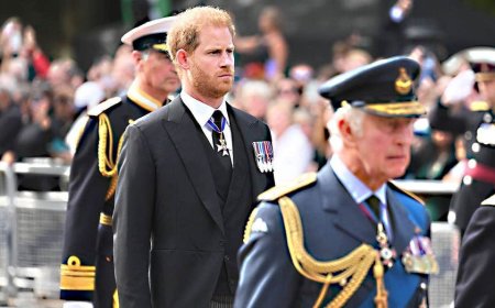 King Charles makes risky move toward Prince Harry as Prince William 'remains wary': experts