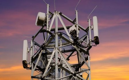 Top Massachusetts Court Deals Blow To Residents Battling Verizon Cell Tower