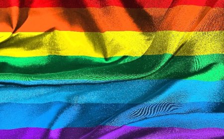 Support For Same-Sex ‘Marriage’ Declining In US, Another Poll Confirms