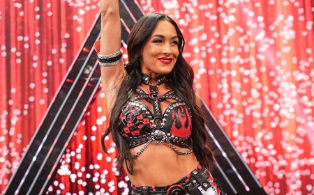 WWE star Brie Bella 'in a lot of pain' following injury at SummerSlam, sister says