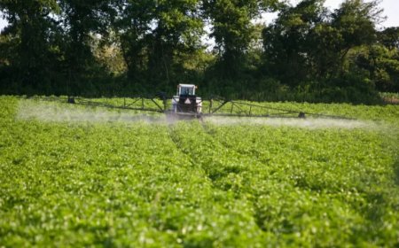STUDY: Exposure to Fungicides and Insecticides Linked to Changes in Puberty Onset in Girls