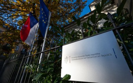 Deep State Cleanup: Czech Spy Chief Ousted After 2024 EU Election Scandal