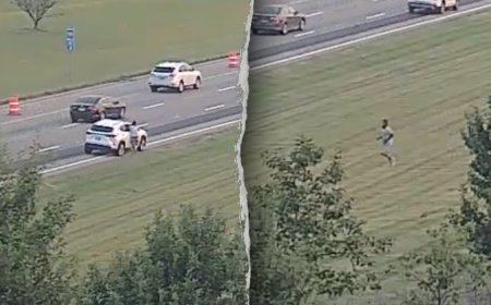 Ohio man fleeing police on foot leaps onto moving car, tries to take control before falling off: Police