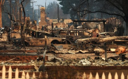 Virgin Mary statue becomes beacon of hope after California wildfires, Fox Nation explores