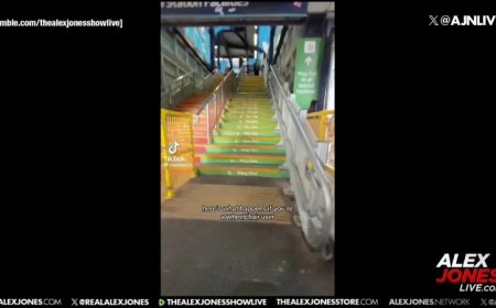 MODERN WORLD PROBLEMS: Woman In Wheelchair Can’t Get Up The Stairs, And The Chair Lift Is Broken!