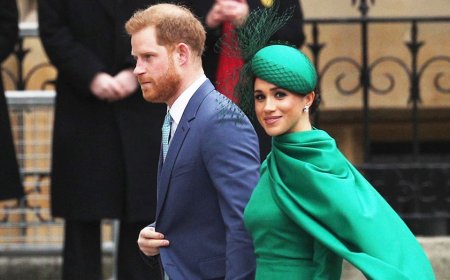 Prince Harry and Meghan Markle's royal 'rupture' caused 'very serious damage' to the monarchy: author