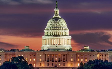 Bad bosses on Capitol Hill could face reckoning under new anonymous staffer review platform