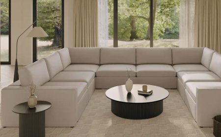 The Curator: The ultimate guide to buying the perfect sofa