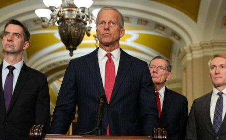 Reporter's Notebook: Inside the Senate showdown over Trump's push to scrap August recess