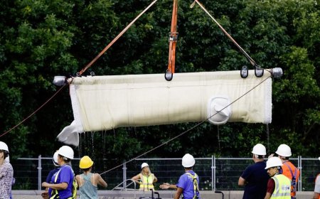 7 more Marineland belugas head for new home at U.S. aquarium