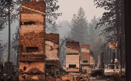 Arson suspect in devastating Spokane, Wash. wildfire arrested