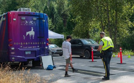 B.C. electronic music festival-goers fined for impairment, speeding