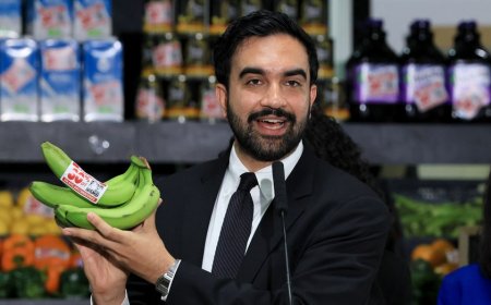 Grocer-turned-lawmaker says Mamdani’s government-run stores 'might not even last a year’