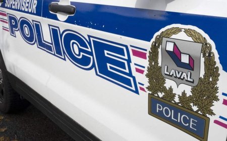Millions in assets, drugs seized as Laval police target crime group
