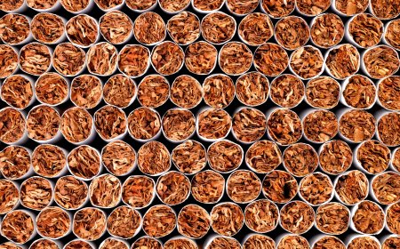 More than 4.3M illegal cigarettes seized by New Brunswick peace officers