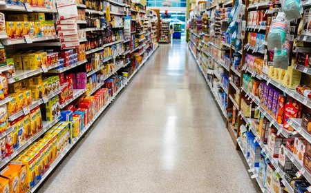 Government-run grocery stores face renewed scrutiny after Chicago's experiment fizzles