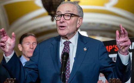 Schumer claims victory as Senate moves to avert shutdown; GOP says he got played