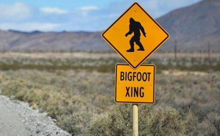 Bigfoot hunter suggests there's a conspiracy after Cornell University denies conducting DNA tests on remains