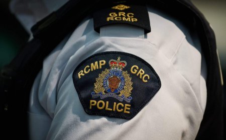 RCMP recover nearly 400 vehicles in ‘coordinated’ anti-fraud pilot program