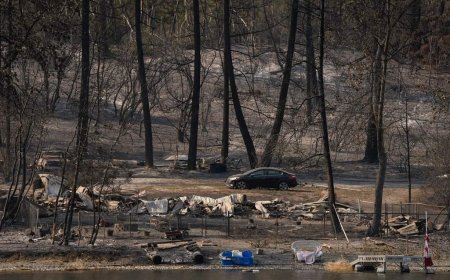 Chief says community was left ‘a war zone’ after Bradley Creek wildfire