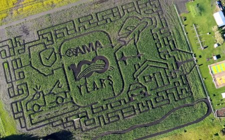 Edmonton Corn Maze opens as 2026 design celebrates AMA’s 100th anniversary