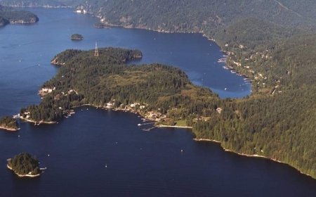 Wildfire breaks out in Belcarra Park near Port Moody, Anmore