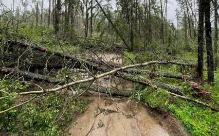 Family stranded overnight as storm blocks road near Seibert Lake: ‘Couldn’t see anything’