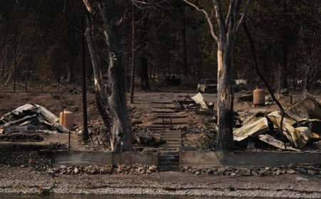 B.C. resident lost home to Bradley Creek wildfire: ‘It was all just so fast’