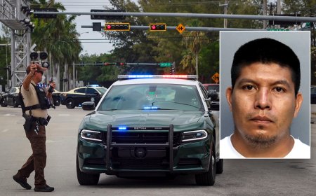 EXCLUSIVE: Illegal immigrant's hit-and-run on 'kind' elderly woman triggers ICE action: 'Could hear screaming'