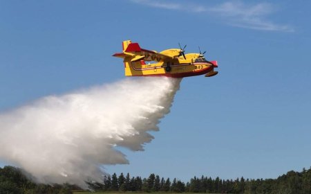 Lightning sparked dozens of wildfires in Quebec in July