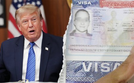 Foreign drunk drivers could face swift boot out of country under Trump's 'America first' crackdown